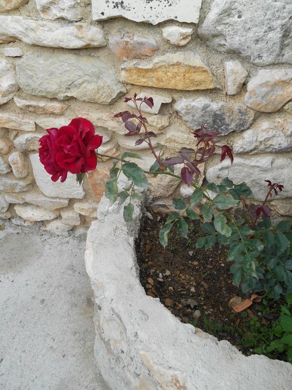 Le Mas Des Baux Bédoin Екстериор снимка